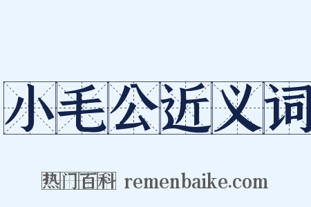 小毛公近义词是什么意思的图片